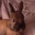 Profile picture of Mereilla
