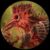 Profile picture of Waasken