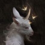 Illustration du profil de Lilyss