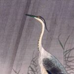 Illustration du profil de Alt Gr(eg)